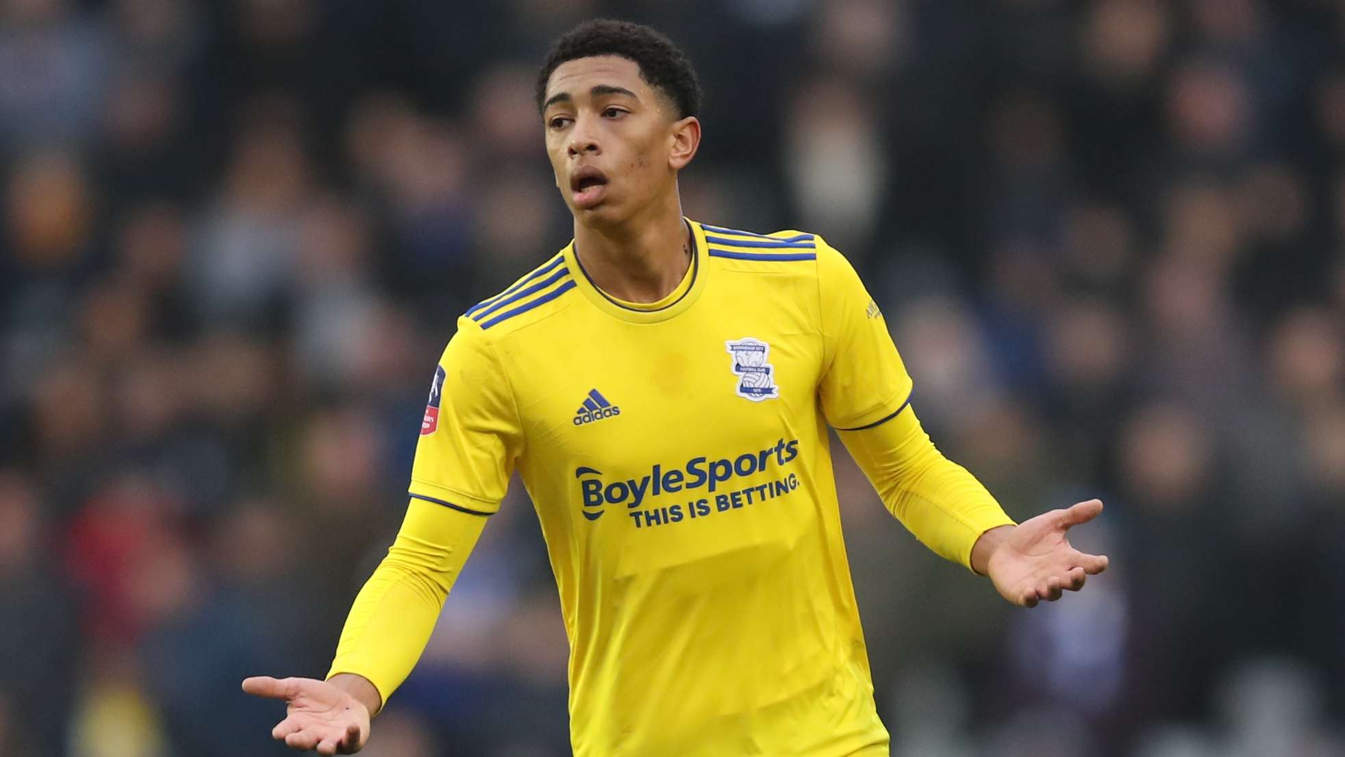 球带来了新 球带来了新