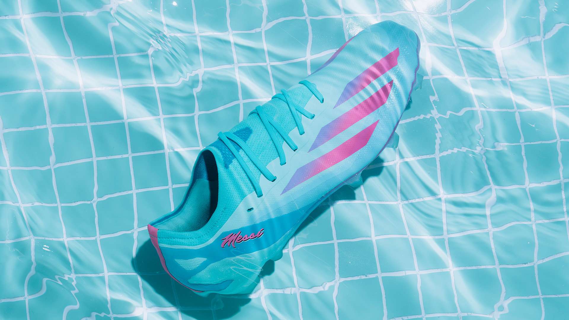 他們需確保 他們需確保