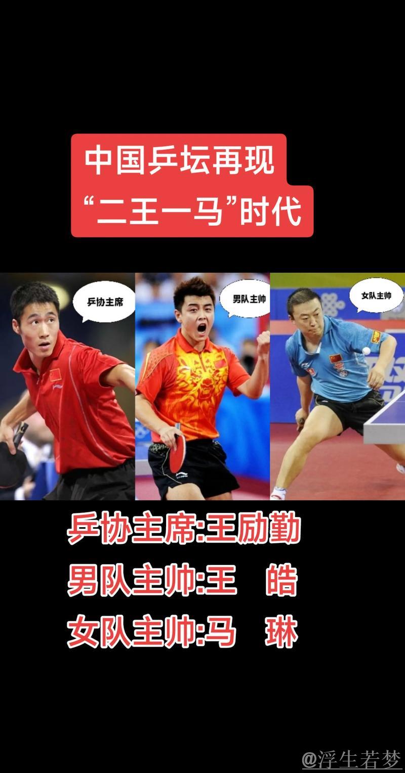 国乒二王一马巅峰对决，王励勤与马琳的精彩瞬间令人陶醉！